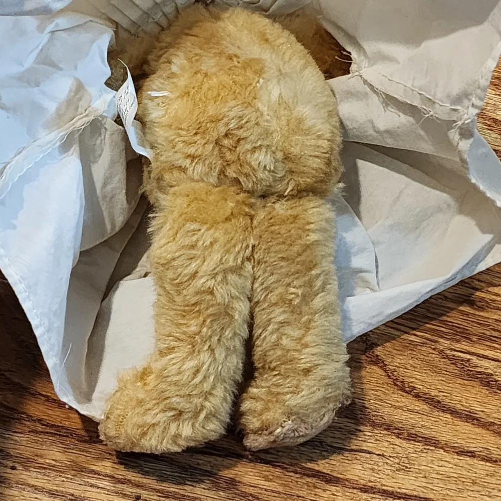 Plush Angel Teddy Bear with Lacy Collar Dress